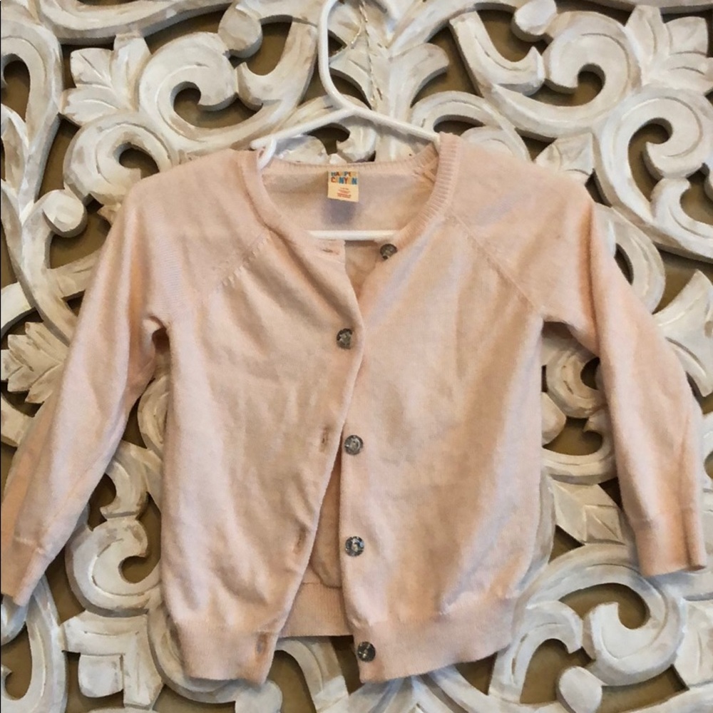 Harper Canyon cardigan